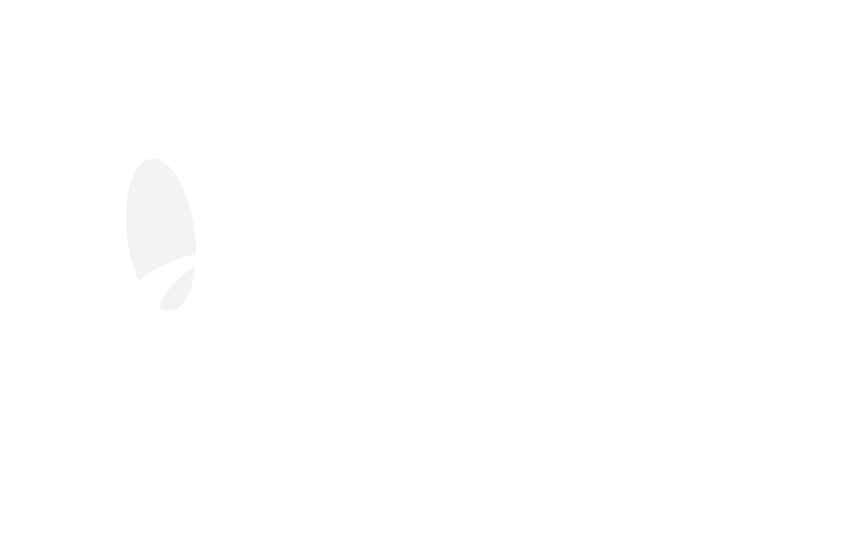 Our Team | Brno Brass Fest